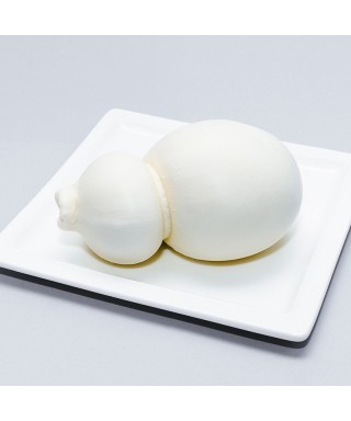 White scamorza cheese