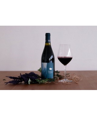 vino rosso primitivo