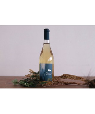 Vino bianco