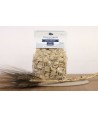 Fresh Pasta - Orecchiette